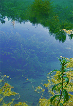 teich