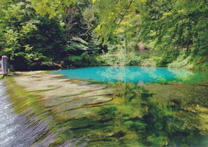 teich